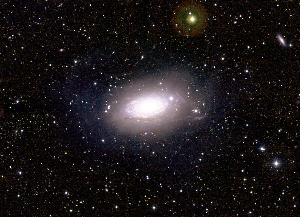 Optical image of NGC 5055